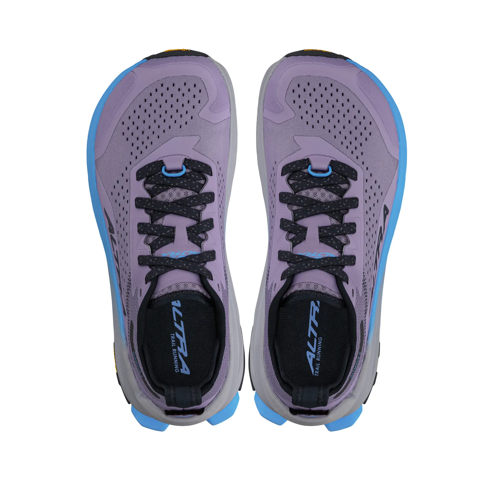 Altra Olympus 6 (Womens) - Purple