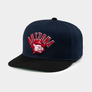 Arizona Vintage 1960s Wilbur Wildcat Snapback