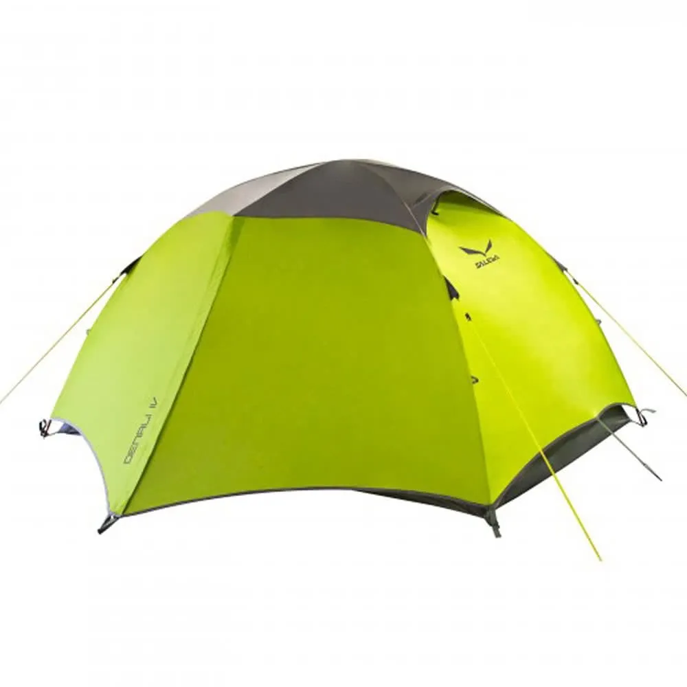 Denali IV