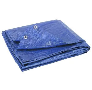 Heavy Duty Waterproof Tarpaulin 3x4m (Blue)
