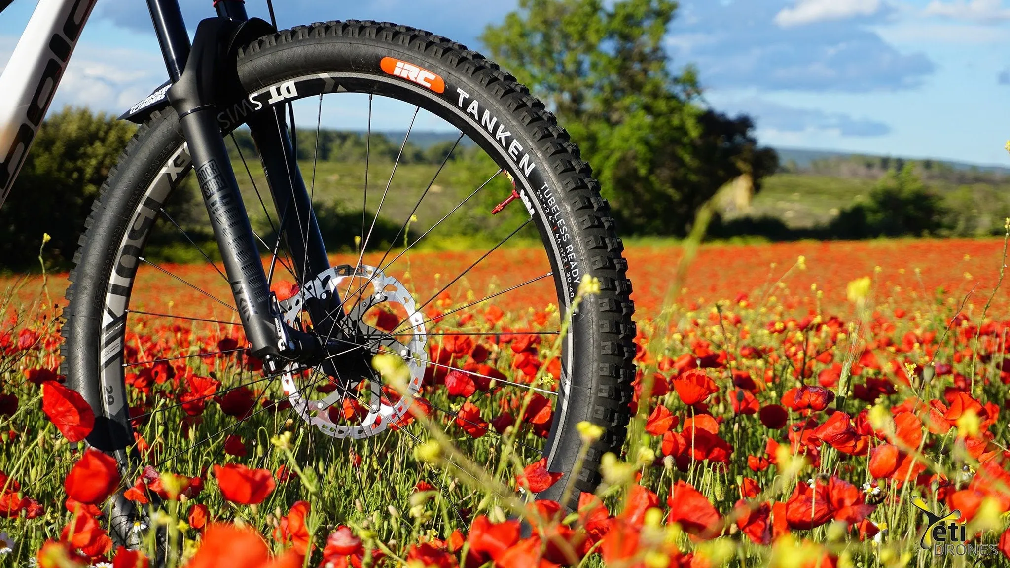 IRC TANKEN 29" X 2.6"