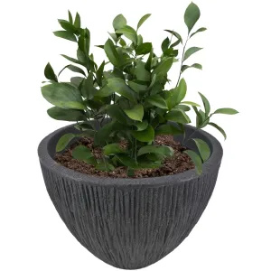Large Anthracite Round Flower Pot 31 cm