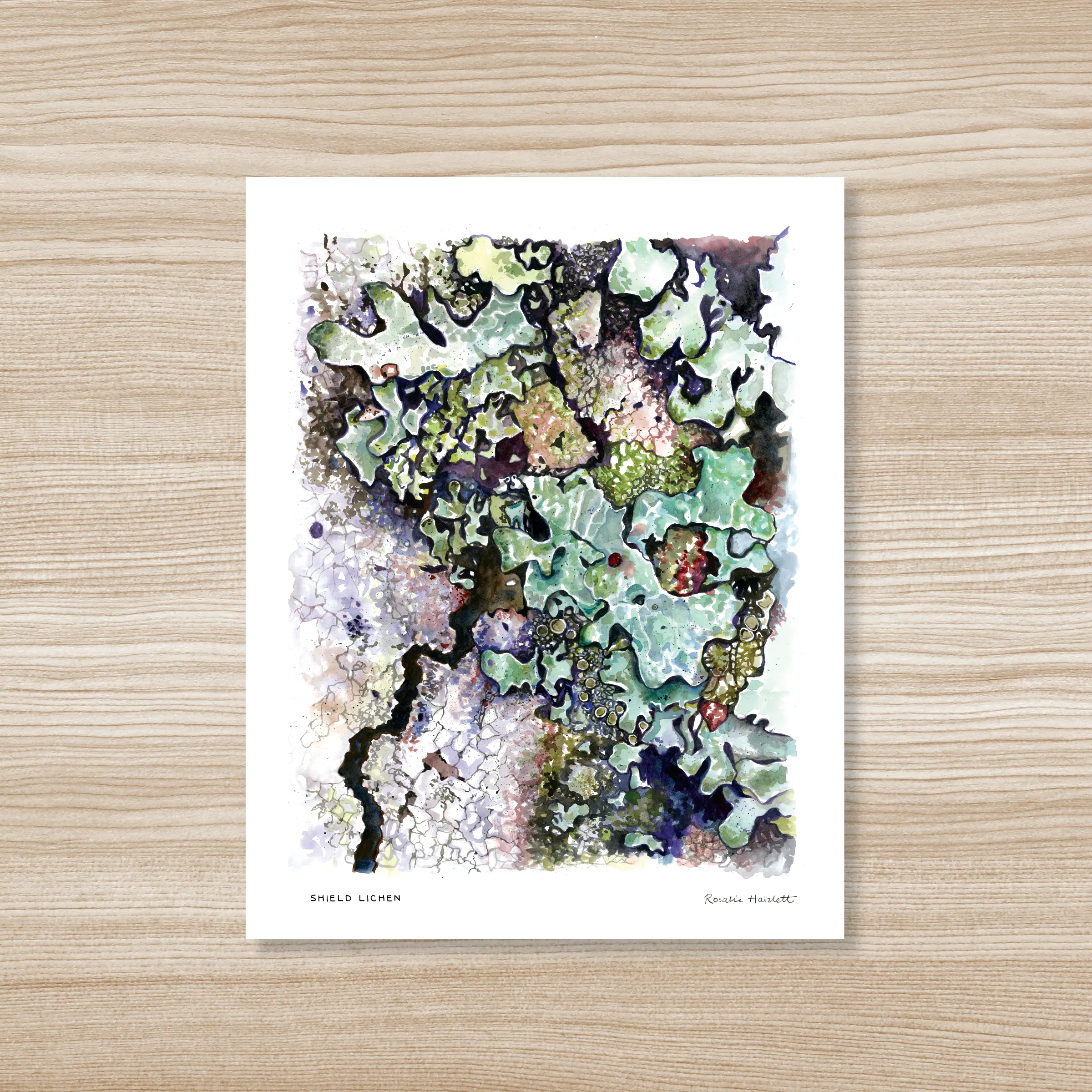 Lichen Watercolor Art Print by Rosalie Haizlett