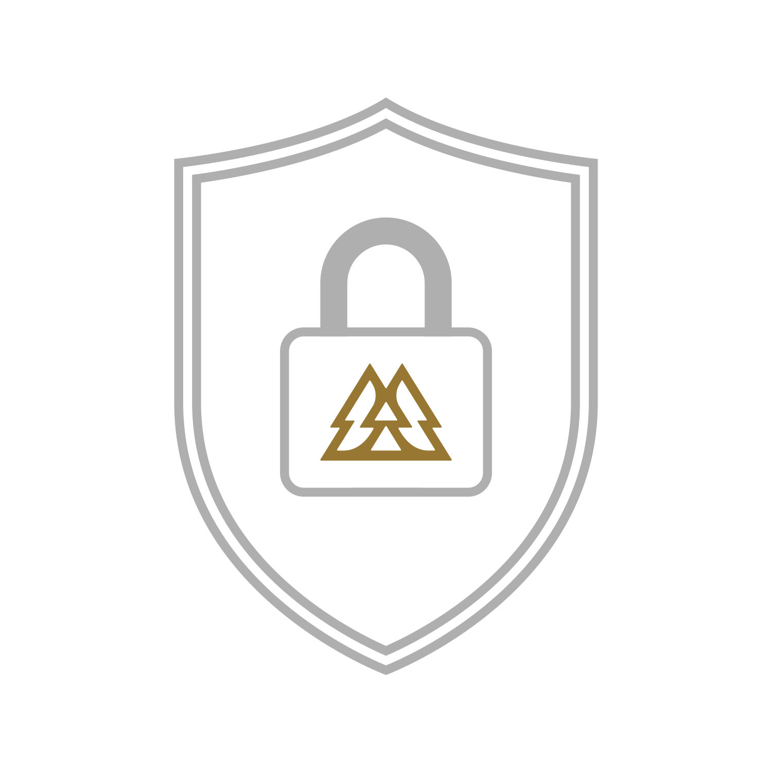 Rugged AUTO Protection Plan