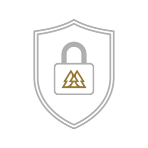 Rugged AUTO Protection Plan