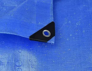 Tarpaulin 5x5m (Blue)