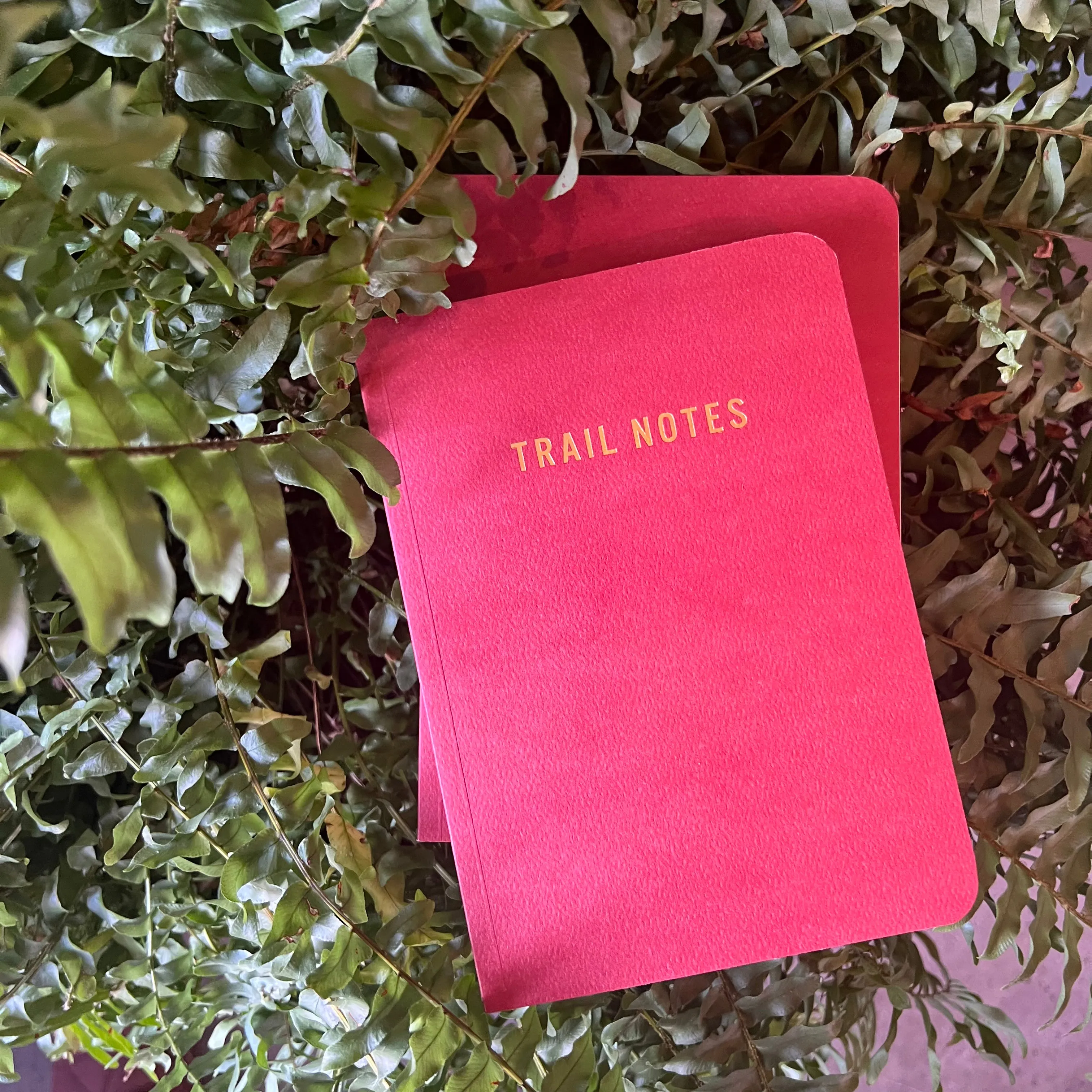 Trail Notes