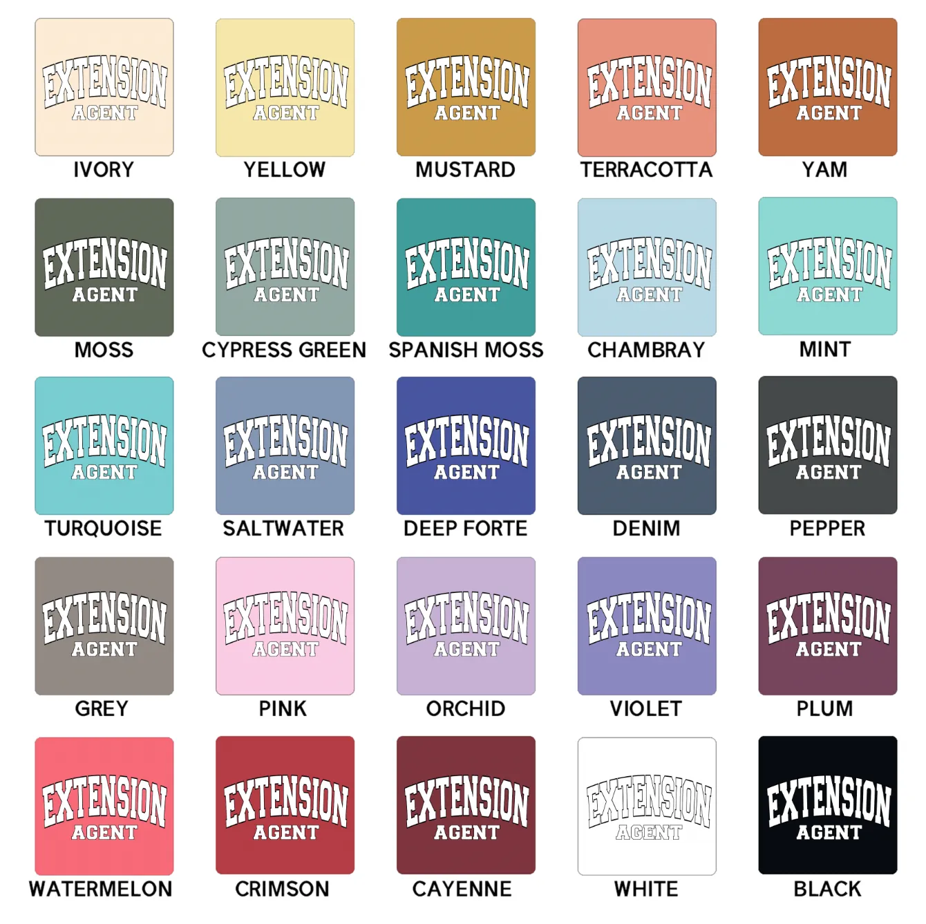 Varsity Extension Agent ComfortWash/ComfortColor T-Shirt (S-4XL) - Multiple Colors!