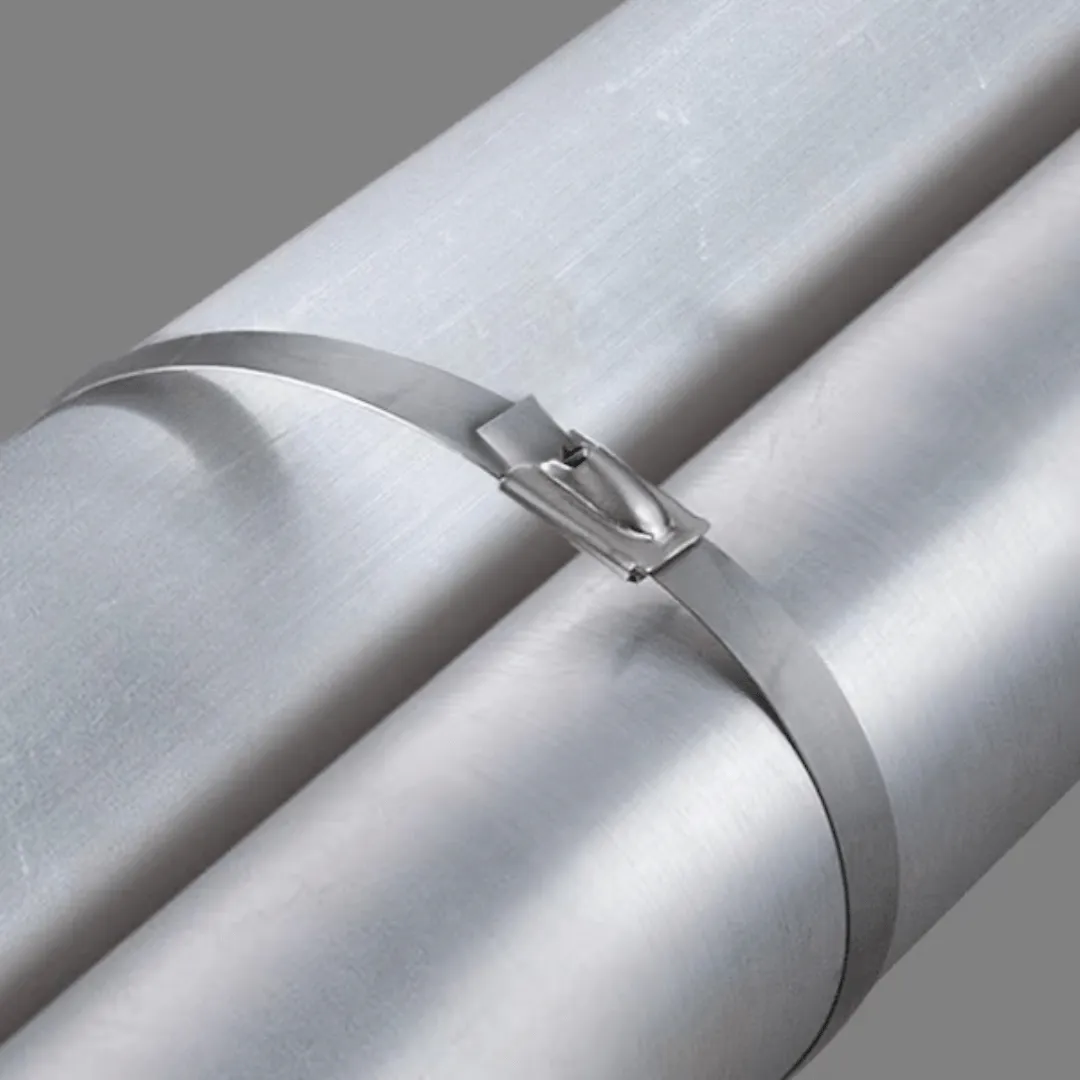 Wadfow 300mm Stainless Steel Cable Ties - WFZ30046